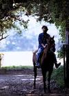 写真 #82：濑户朝香 Asaka Seto