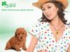 写真 #135：林志玲 Chiling Lin