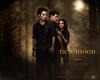 暮色2：新月/The Twilight Saga: New Moon(2009)