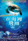 海龟：奇妙之旅 海报(台湾) #01