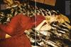 写真 #184：伊娃·赫兹格瓦 Eva Herzigova