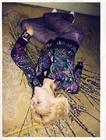 写真 #243：伊娃·赫兹格瓦 Eva Herzigova