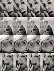 写真 #149：西耶娜·米勒 Sienna Miller