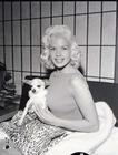 生活照 #10：简·曼斯费尔德 Jayne Mansfield