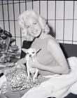 生活照 #09：简·曼斯费尔德 Jayne Mansfield