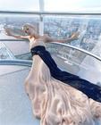 写真 #91：罗莎曼德·派克 Rosamund Pike