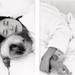 写真 #41 省略图