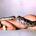 写真 #08 省略图