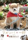 豆柴小犬 DVD封套 #01