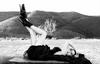 写真 #04：拉莫·威利斯 Rumer Willis