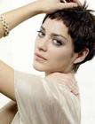 写真 #144：玛丽昂·歌迪亚 Marion Cotillard