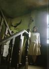 写真 #560：堀北真希 Maki Horikita