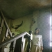 写真 #560 省略图