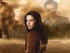 暮色2：新月/The Twilight Saga: New Moon(2009)