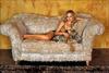 写真 #36：朱莉·本茨 Julie Benz