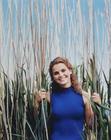 写真 #49：凯丽·拉塞尔 Keri Russell