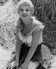 写真 #0004：芭芭拉·尼科尔斯 Barbara Nichols