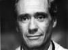 写真 #15：梅尔·弗尔 Mel Ferrer