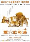 爱犬的奇迹 海报(中国) #01
