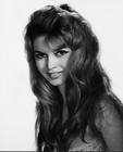 写真 #73：碧姬·芭铎 Brigitte Bardot