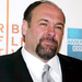 生活照 #0004：詹姆斯·甘多菲尼 James Gandolfini