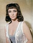 写真 #60：伊丽莎白·泰勒 Elizabeth Taylor