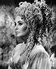 写真 #63：伊丽莎白·泰勒 Elizabeth Taylor