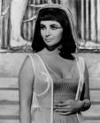 写真 #62：伊丽莎白·泰勒 Elizabeth Taylor
