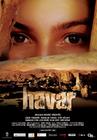 Havar 海报 #01