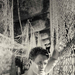 写真 #0007：尼尔·帕特里克·哈里斯 Neil Patrick Harris