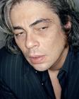写真 #125：本尼西奥·德尔·托罗 Benicio Del Toro