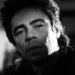 写真 #118 省略图