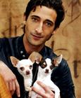 写真 #132：阿德里安·布洛迪 Adrien Brody