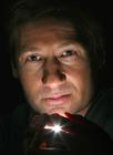 写真 #112：大卫·杜楚尼 David Duchovny