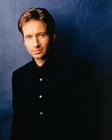 写真 #97：大卫·杜楚尼 David Duchovny