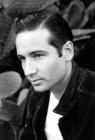 写真 #82：大卫·杜楚尼 David Duchovny