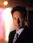 写真 #100：大卫·杜楚尼 David Duchovny