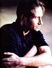 写真 #94：大卫·杜楚尼 David Duchovny
