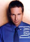 写真 #79：大卫·杜楚尼 David Duchovny