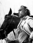写真 #117：马龙·白兰度 Marlon Brando