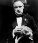 写真 #124：马龙·白兰度 Marlon Brando