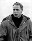 生活照 #116：马龙·白兰度 Marlon Brando