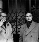 生活照 #120：马龙·白兰度 Marlon Brando