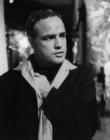 生活照 #63：马龙·白兰度 Marlon Brando