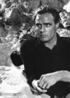 生活照 #70：马龙·白兰度 Marlon Brando