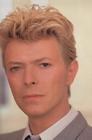 生活照 #28：大卫·鲍伊 David Bowie
