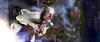 圣诞颂歌 剧照 #16