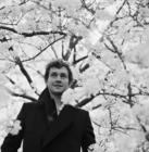 写真 #75：休·丹西 Hugh Dancy