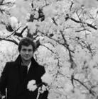 写真 #78：休·丹西 Hugh Dancy