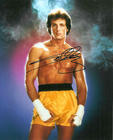 写真 #15：西尔维斯特·史泰龙 Sylvester Stallone